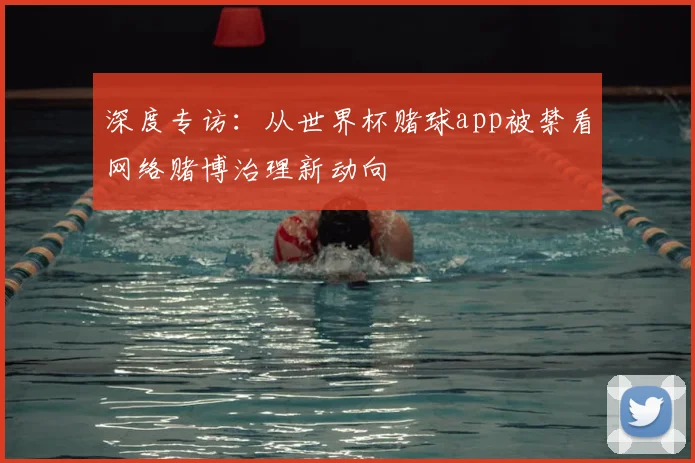 深度专访：从世界杯赌球app被禁看网络赌博治理新动向