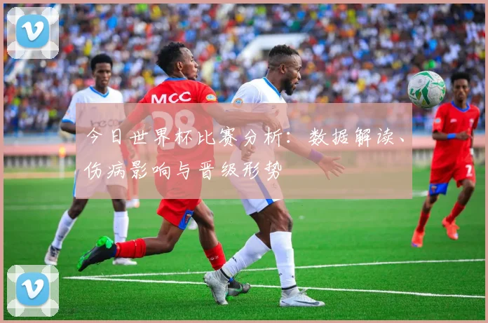 今日世界杯比赛分析：数据解读、伤病影响与晋级形势