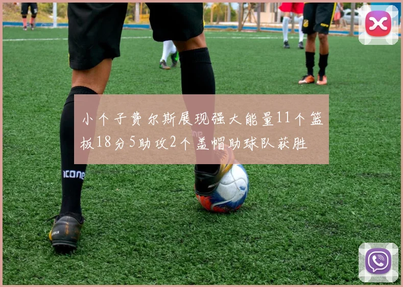 小个子费尔斯展现强大能量11个篮板18分5助攻2个盖帽助球队获胜
