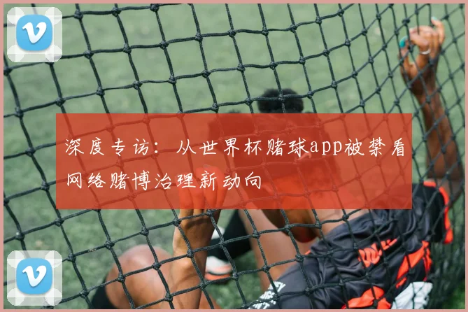 深度专访：从世界杯赌球app被禁看网络赌博治理新动向