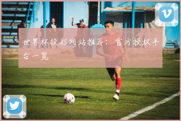 世界杯投彩网站推荐：官方授权平台一览