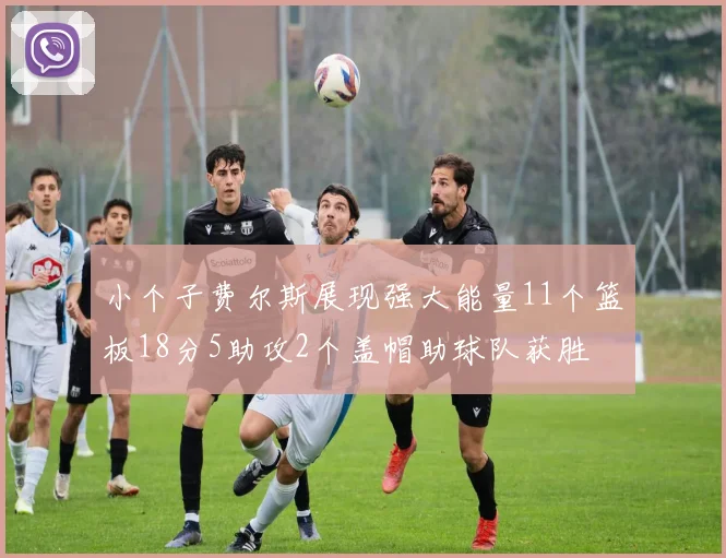 小个子费尔斯展现强大能量11个篮板18分5助攻2个盖帽助球队获胜