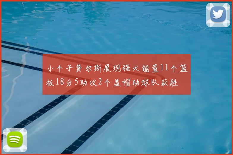 小个子费尔斯展现强大能量11个篮板18分5助攻2个盖帽助球队获胜