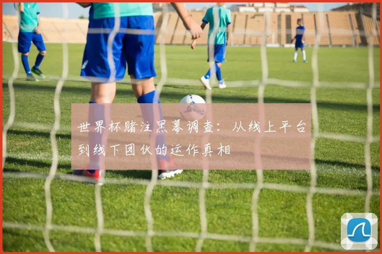 世界杯赌注黑幕调查：从线上平台到线下团伙的运作真相