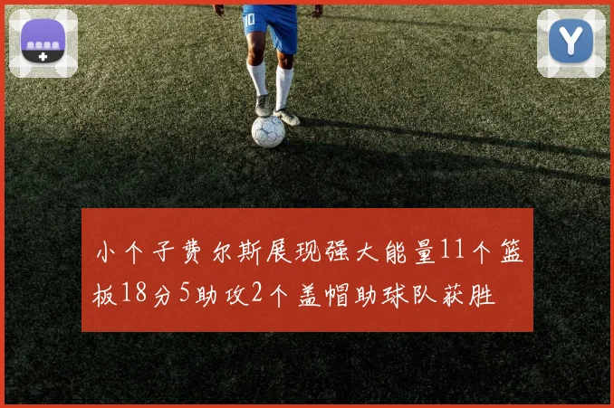 小个子费尔斯展现强大能量11个篮板18分5助攻2个盖帽助球队获胜