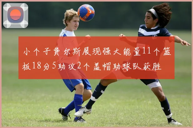 小个子费尔斯展现强大能量11个篮板18分5助攻2个盖帽助球队获胜