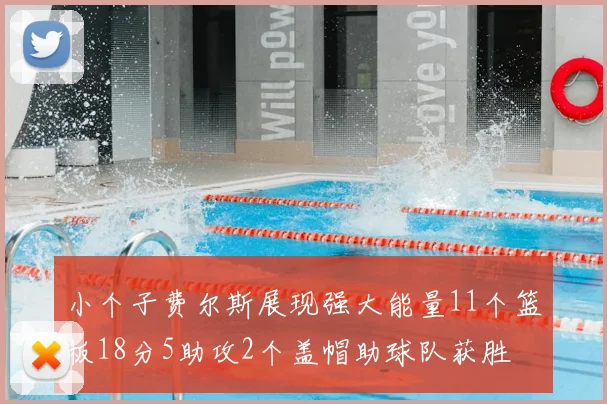 小个子费尔斯展现强大能量11个篮板18分5助攻2个盖帽助球队获胜