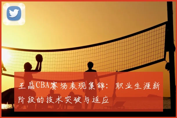 王晶CBA赛场表现集锦：职业生涯新阶段的技术突破与适应