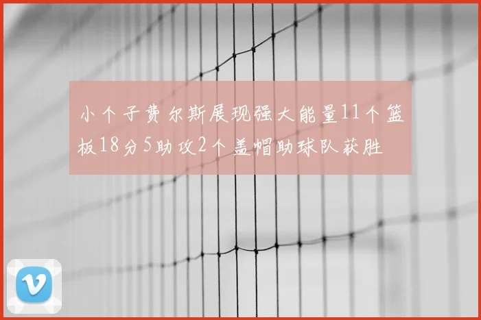 小个子费尔斯展现强大能量11个篮板18分5助攻2个盖帽助球队获胜