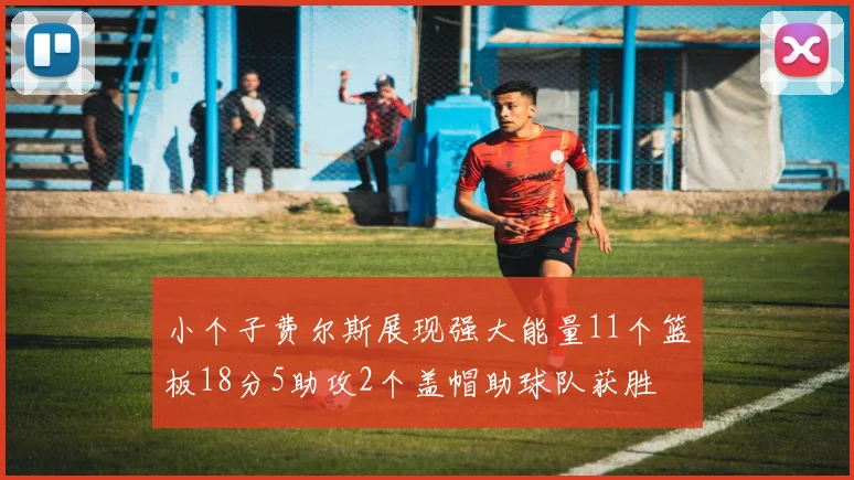 小个子费尔斯展现强大能量11个篮板18分5助攻2个盖帽助球队获胜
