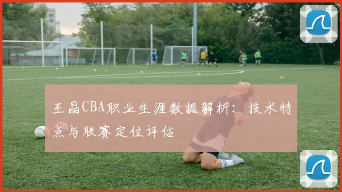 王晶CBA职业生涯数据解析：技术特点与联赛定位评估