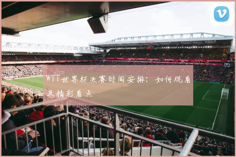 WTT世界杯决赛时间安排：如何观看及精彩看点