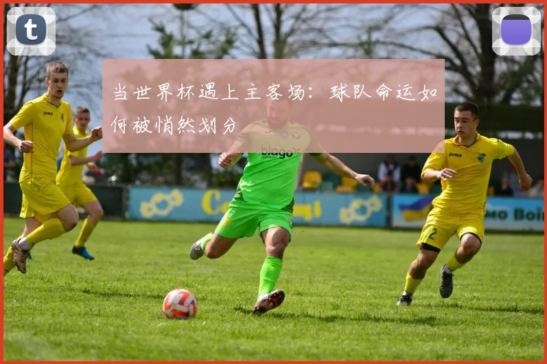 当世界杯遇上主客场：球队命运如何被悄然划分