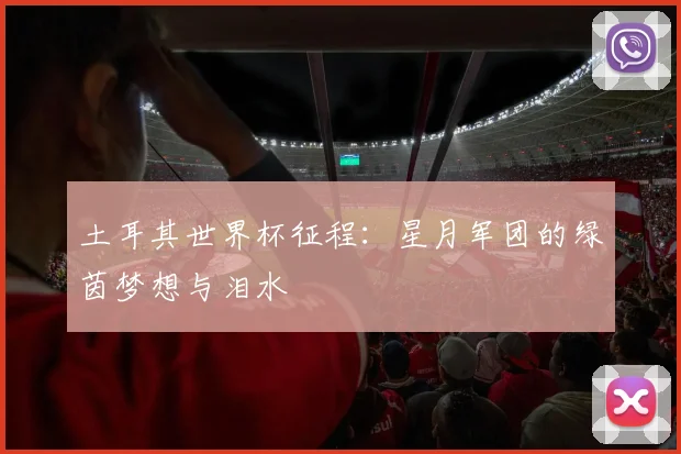 土耳其世界杯征程：星月军团的绿茵梦想与泪水