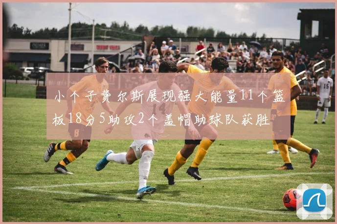 小个子费尔斯展现强大能量11个篮板18分5助攻2个盖帽助球队获胜